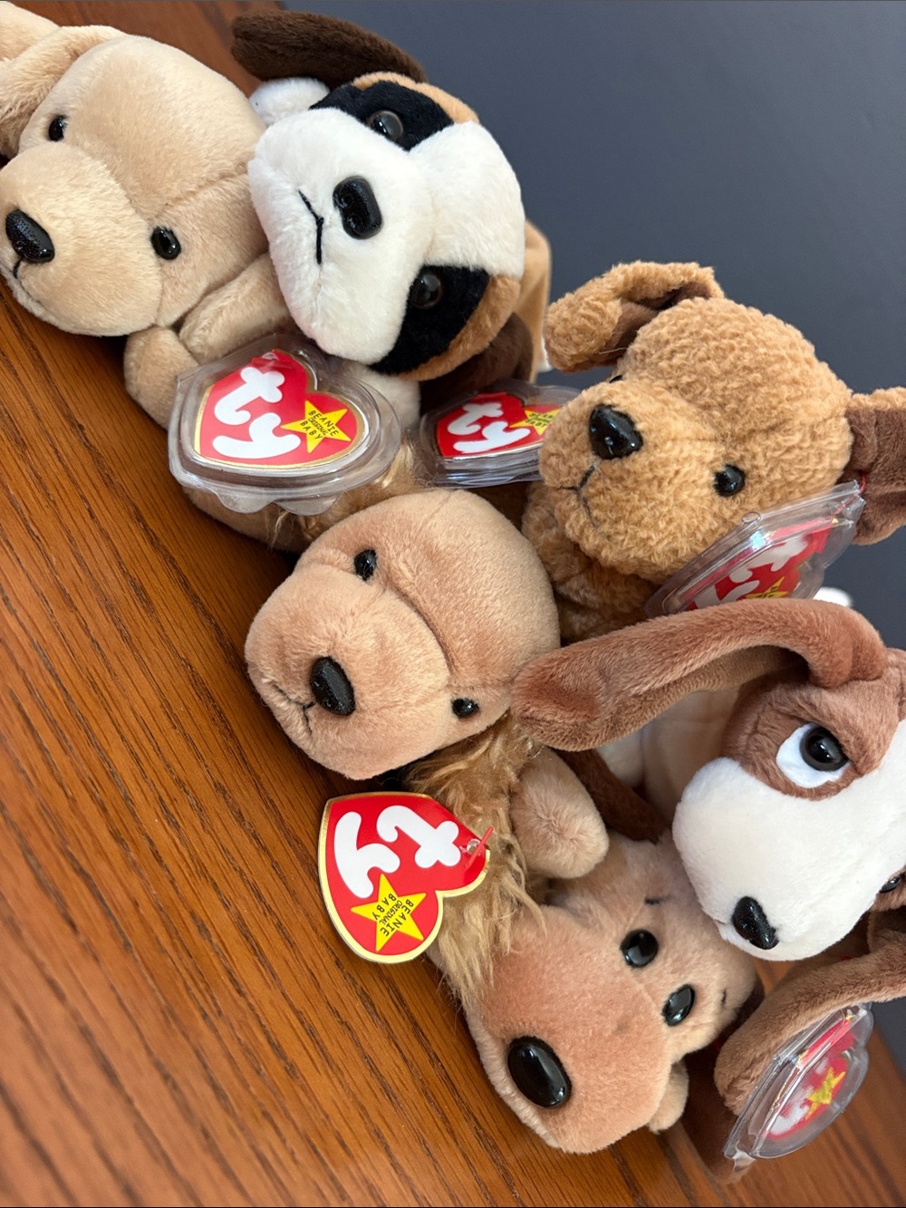 TY Beanie Babies Lot of 6 Vintage 90s Y2K Dogs Bones Spunky Fetch Tracker